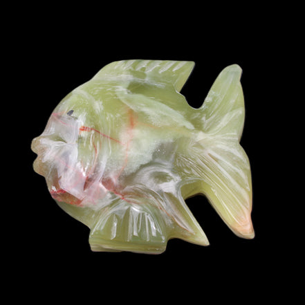 Afghan Jade fish hand-carved 101*73*26mm 209g in sunlight - Rocks and Things Store