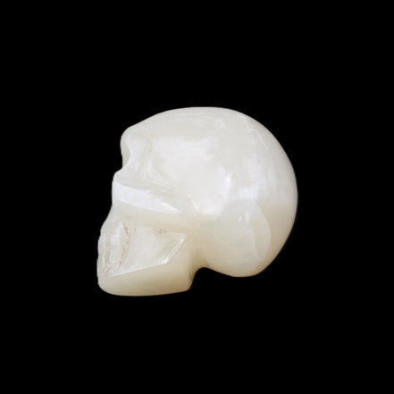 Honey Calcite skull hand-carved 53*46*32mm 143g in sunlight - Rocks and Things Store