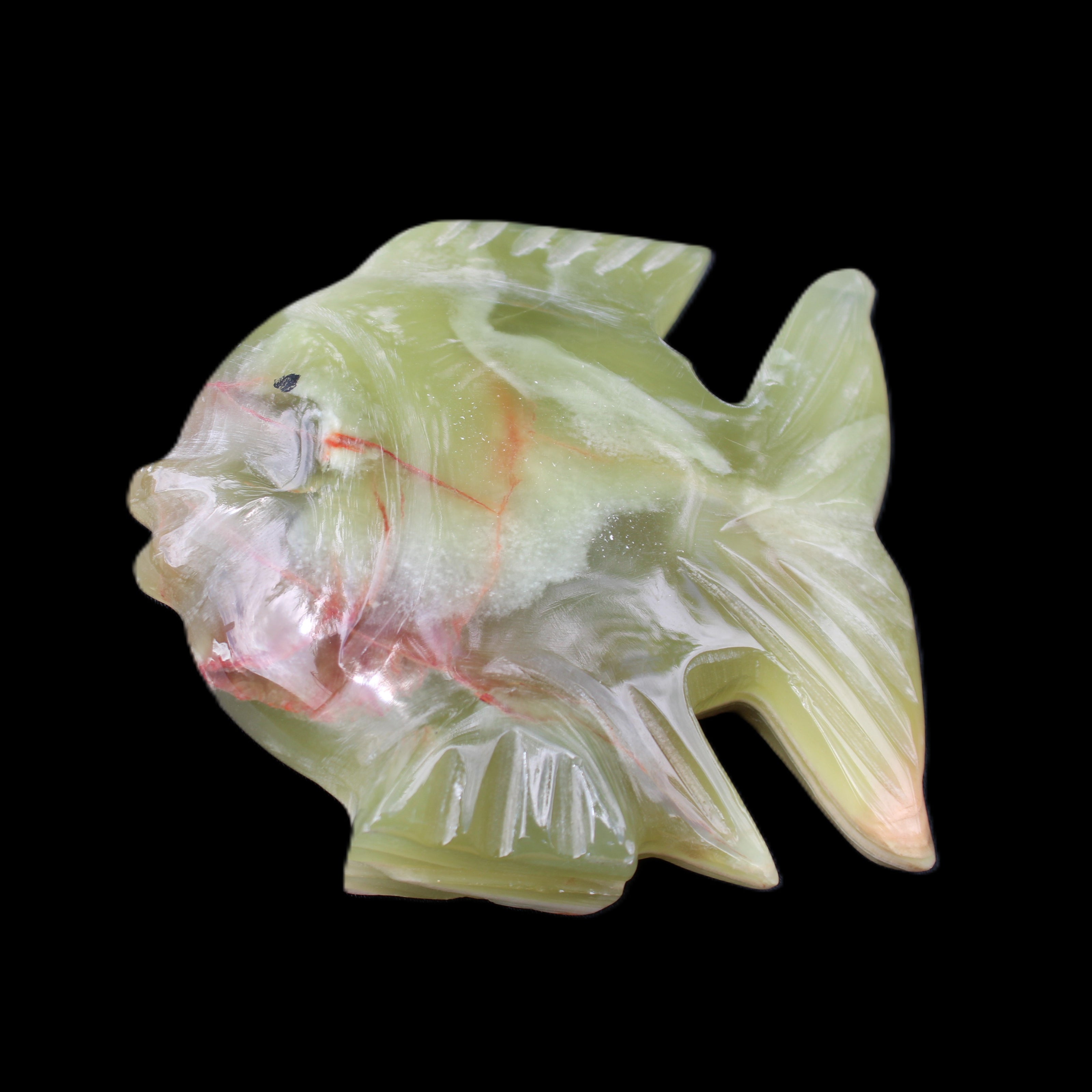 Afghan Jade fish hand-carved 101*73*26mm 209g in sunlight - Rocks and Things Store