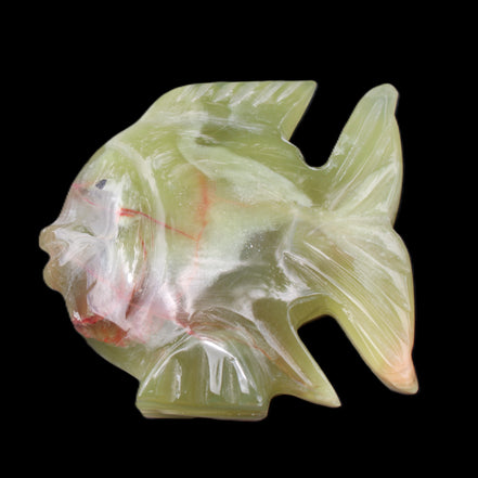 Afghan Jade fish hand-carved 101*73*26mm 209g in sunlight - Rocks and Things Store