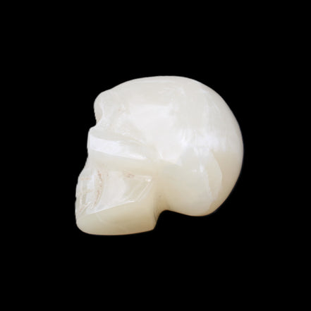 Honey Calcite skull hand-carved 53*46*32mm 143g in sunlight - Rocks and Things Store