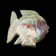 Afghan Jade fish hand-carved 101*73*26mm 209g in sunlight - Rocks and Things Store