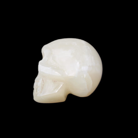 Honey Calcite skull hand-carved 53*46*32mm 143g in sunlight - Rocks and Things Store