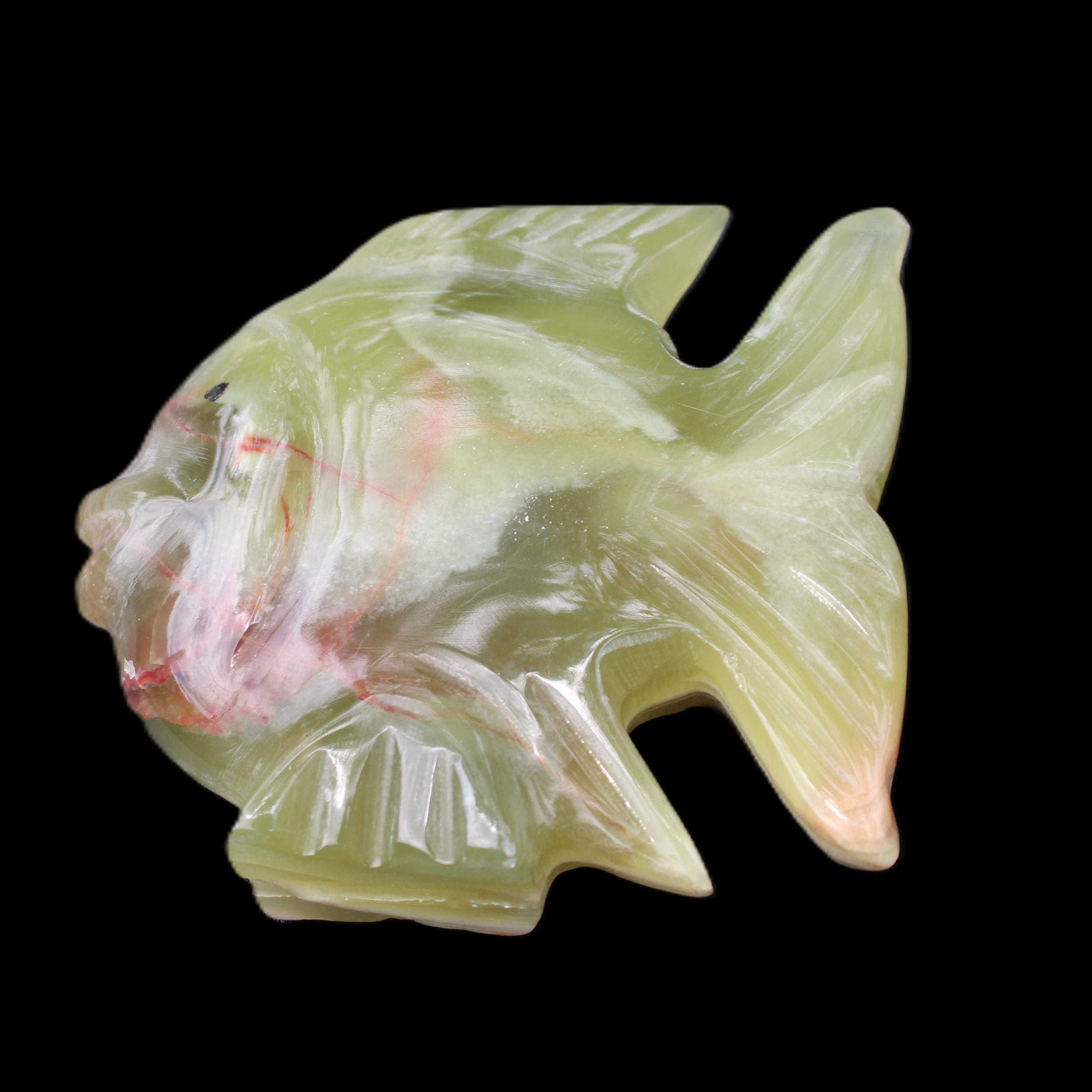 Afghan Jade fish hand-carved 101*73*26mm 209g in sunlight - Rocks and Things Store