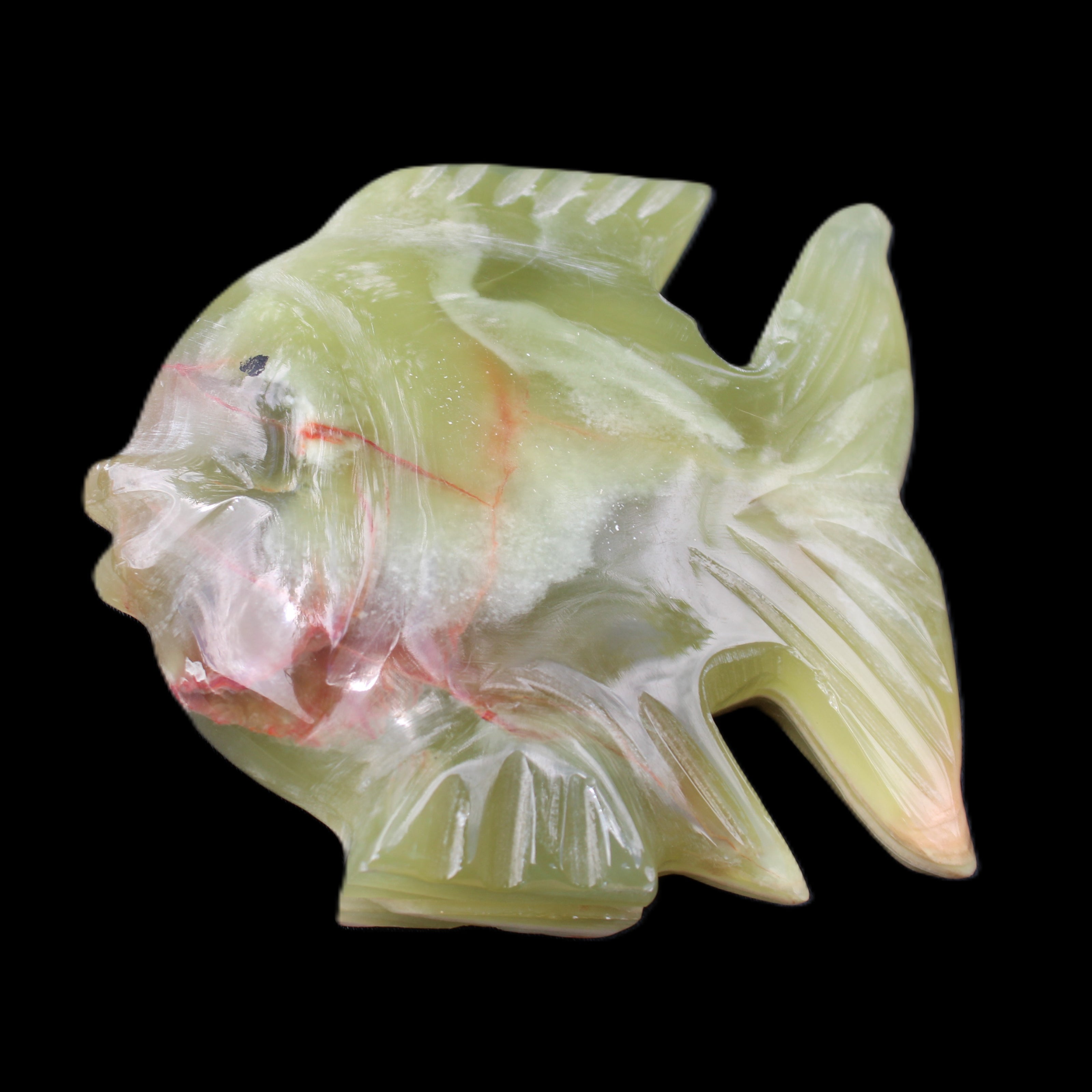 Afghan Jade fish hand-carved 101*73*26mm 209g in sunlight - Rocks and Things Store