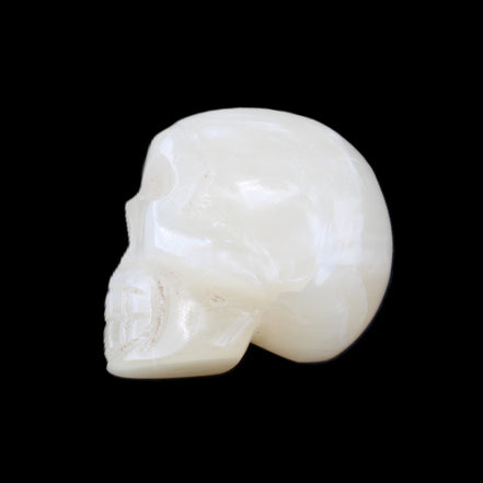 Honey Calcite skull hand-carved 53*46*32mm 143g in sunlight - Rocks and Things Store