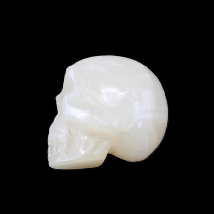 Honey Calcite skull hand-carved 53*46*32mm 143g in sunlight - Rocks and Things Store
