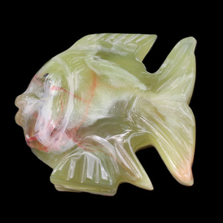 Afghan Jade fish hand-carved 101*73*26mm 209g in sunlight - Rocks and Things Store