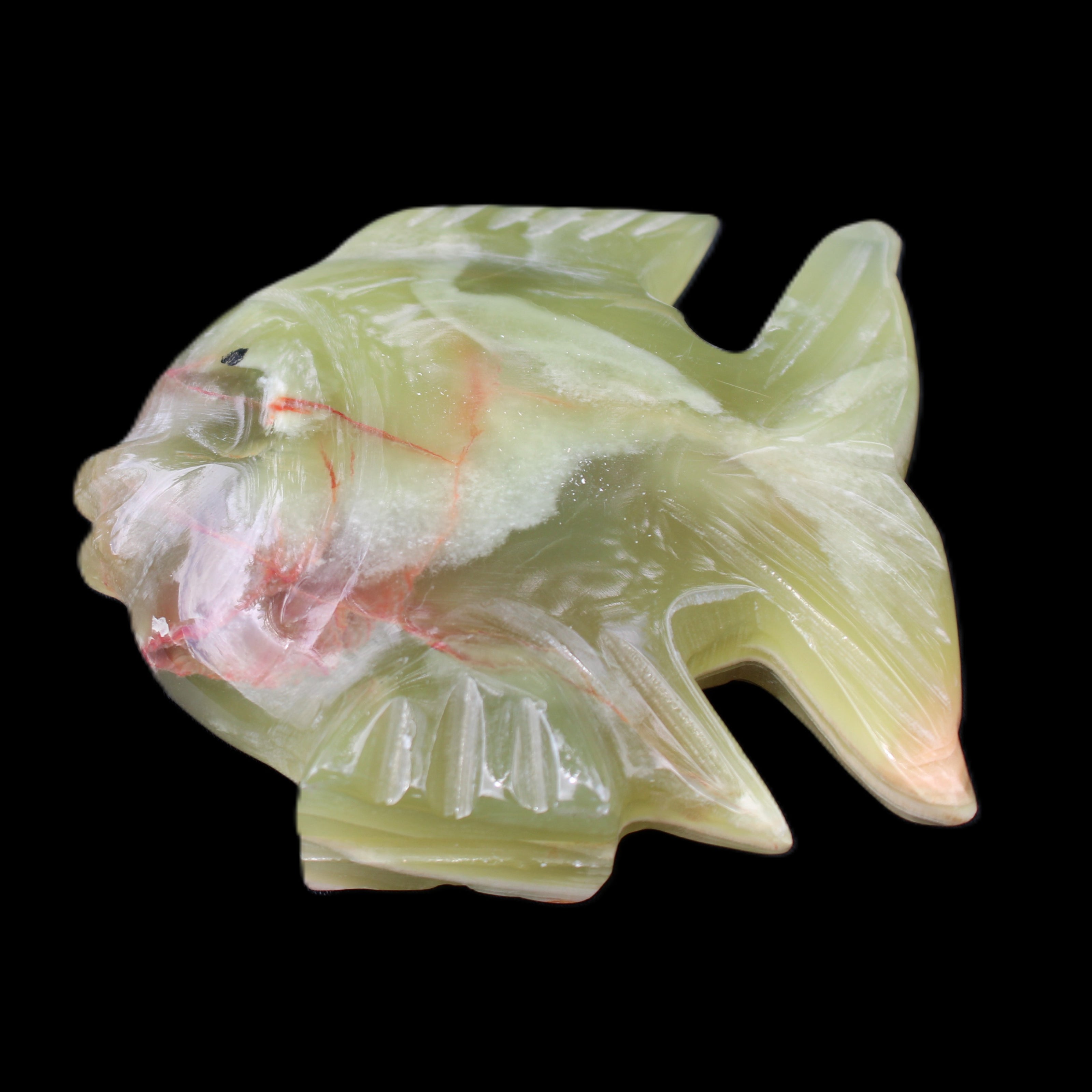 Afghan Jade fish hand-carved 101*73*26mm 209g in sunlight - Rocks and Things Store