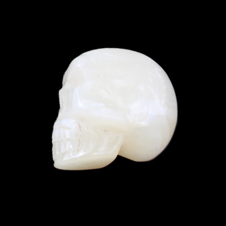 Honey Calcite skull hand-carved 53*46*32mm 143g in sunlight - Rocks and Things Store