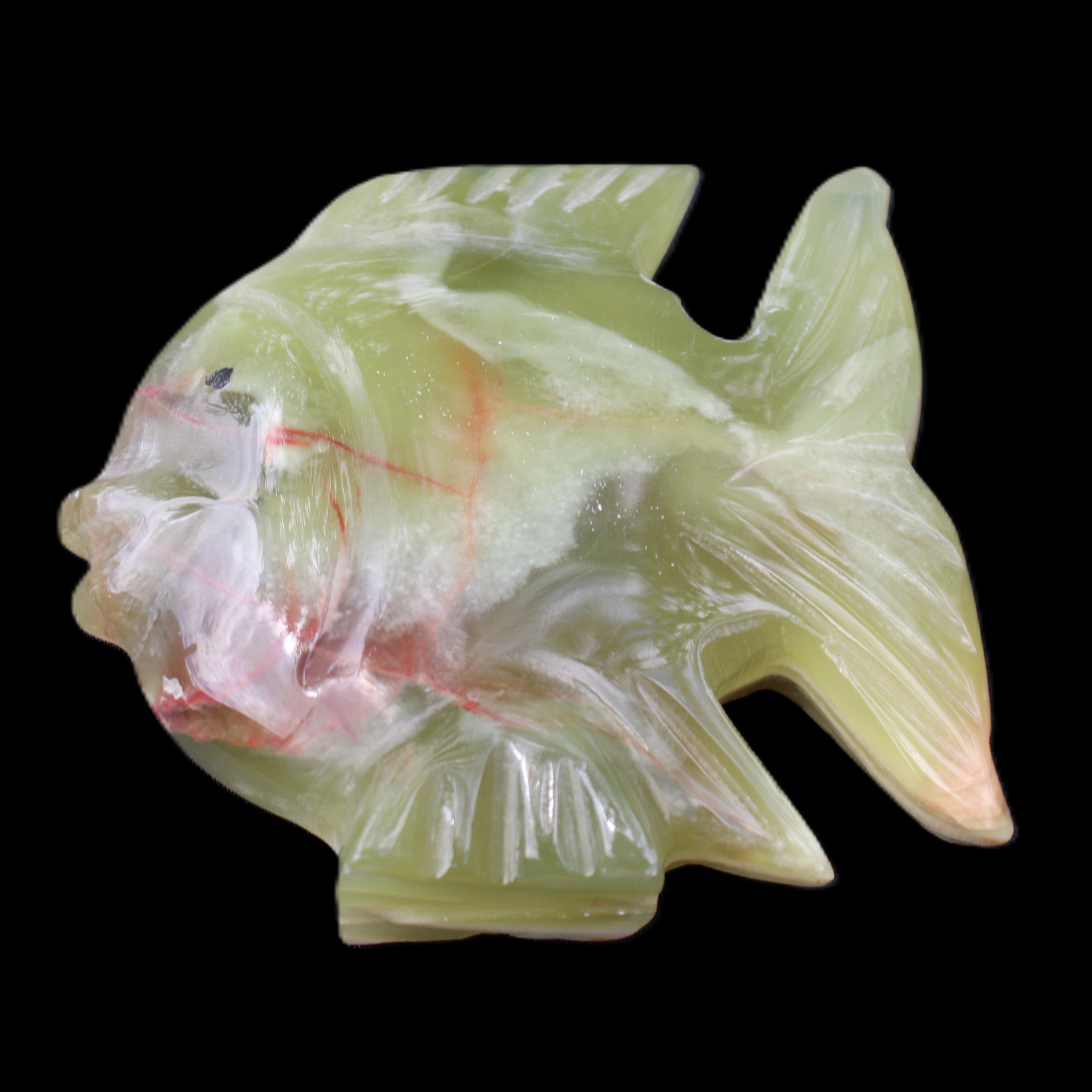 Afghan Jade fish hand-carved 101*73*26mm 209g in sunlight - Rocks and Things Store