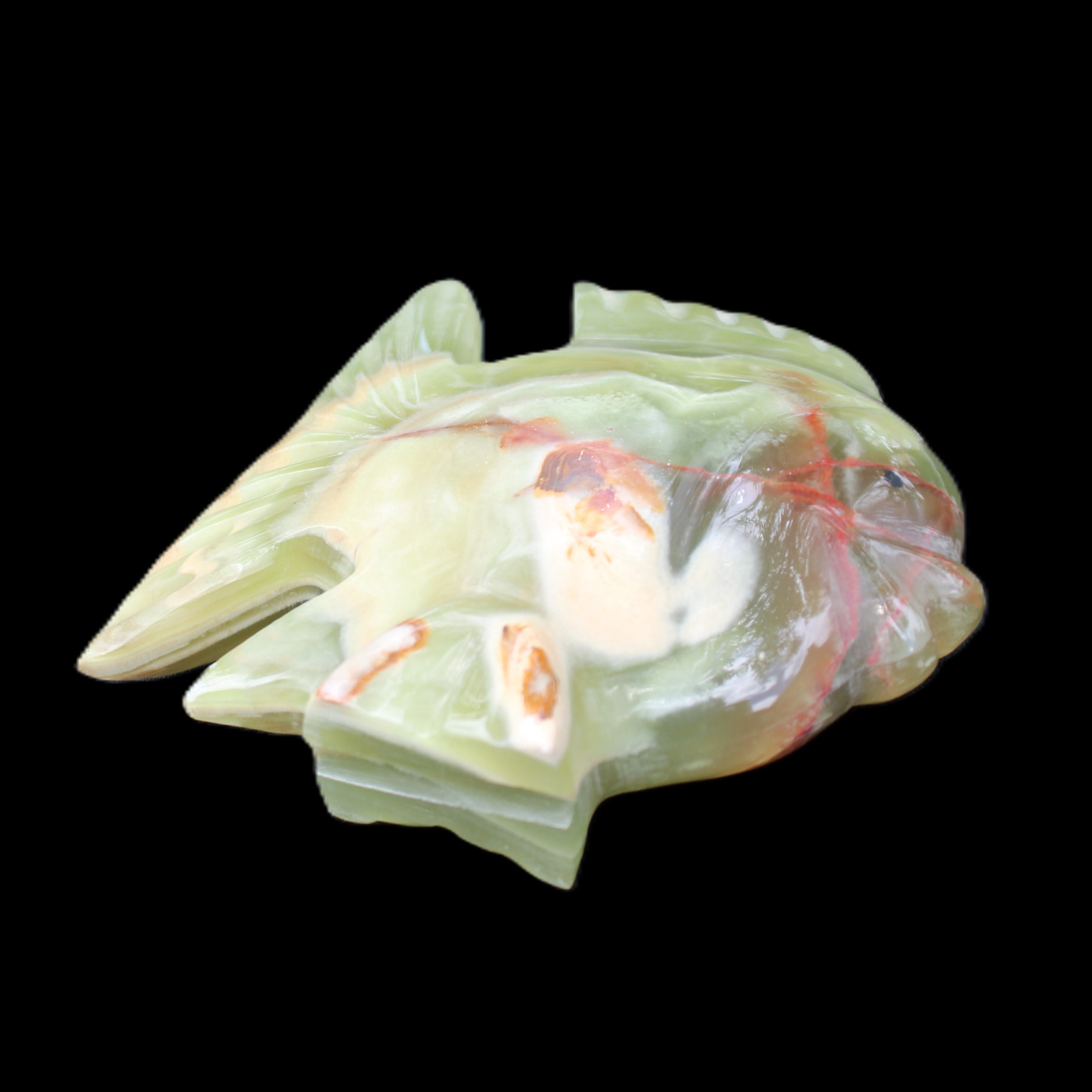 Afghan Jade fish hand-carved 101*73*26mm 209g in sunlight - Rocks and Things Store