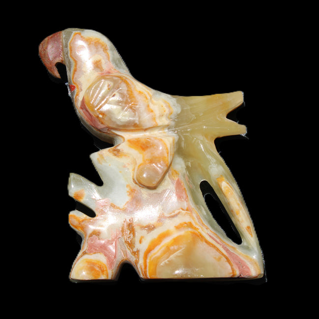 Afghan Jade bird hand-carved 106*81*35mm 291g in sunlight - Rocks and Things Store