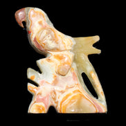 Afghan Jade bird hand-carved 106*81*35mm 291g in sunlight - Rocks and Things Store