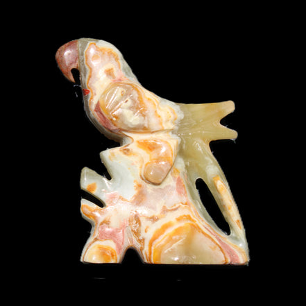 Afghan Jade bird hand-carved 106*81*35mm 291g in sunlight - Rocks and Things Store