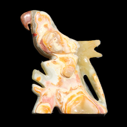 Afghan Jade bird hand-carved 106*81*35mm 291g in sunlight - Rocks and Things Store