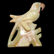 Afghan Jade bird hand-carved 106*81*35mm 291g in sunlight - Rocks and Things Store