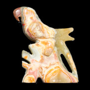 Afghan Jade bird hand-carved 106*81*35mm 291g in sunlight - Rocks and Things Store