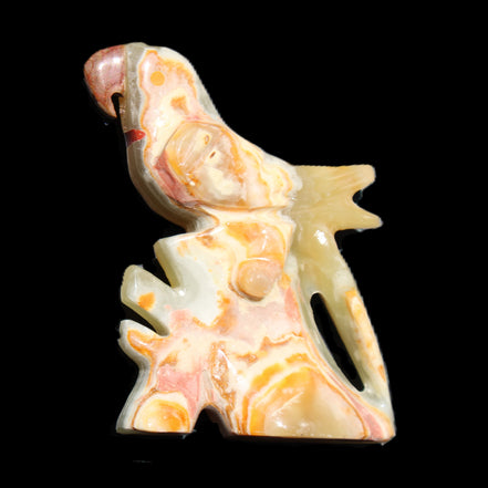 Afghan Jade bird hand-carved 106*81*35mm 291g in sunlight - Rocks and Things Store