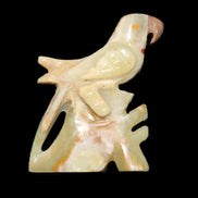 Afghan Jade bird hand-carved 106*81*35mm 291g in sunlight - Rocks and Things Store