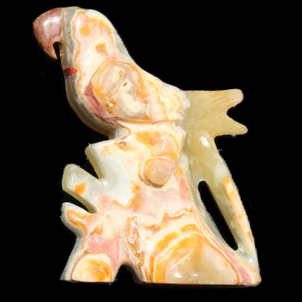 Afghan Jade bird hand-carved 106*81*35mm 291g in sunlight - Rocks and Things Store