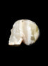 Afghan Jade skull hand-carved 55*48*33mm 168g in sunlight - Rocks and Things Store