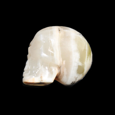 Afghan Jade skull hand-carved 55*48*33mm 168g in sunlight - Rocks and Things Store