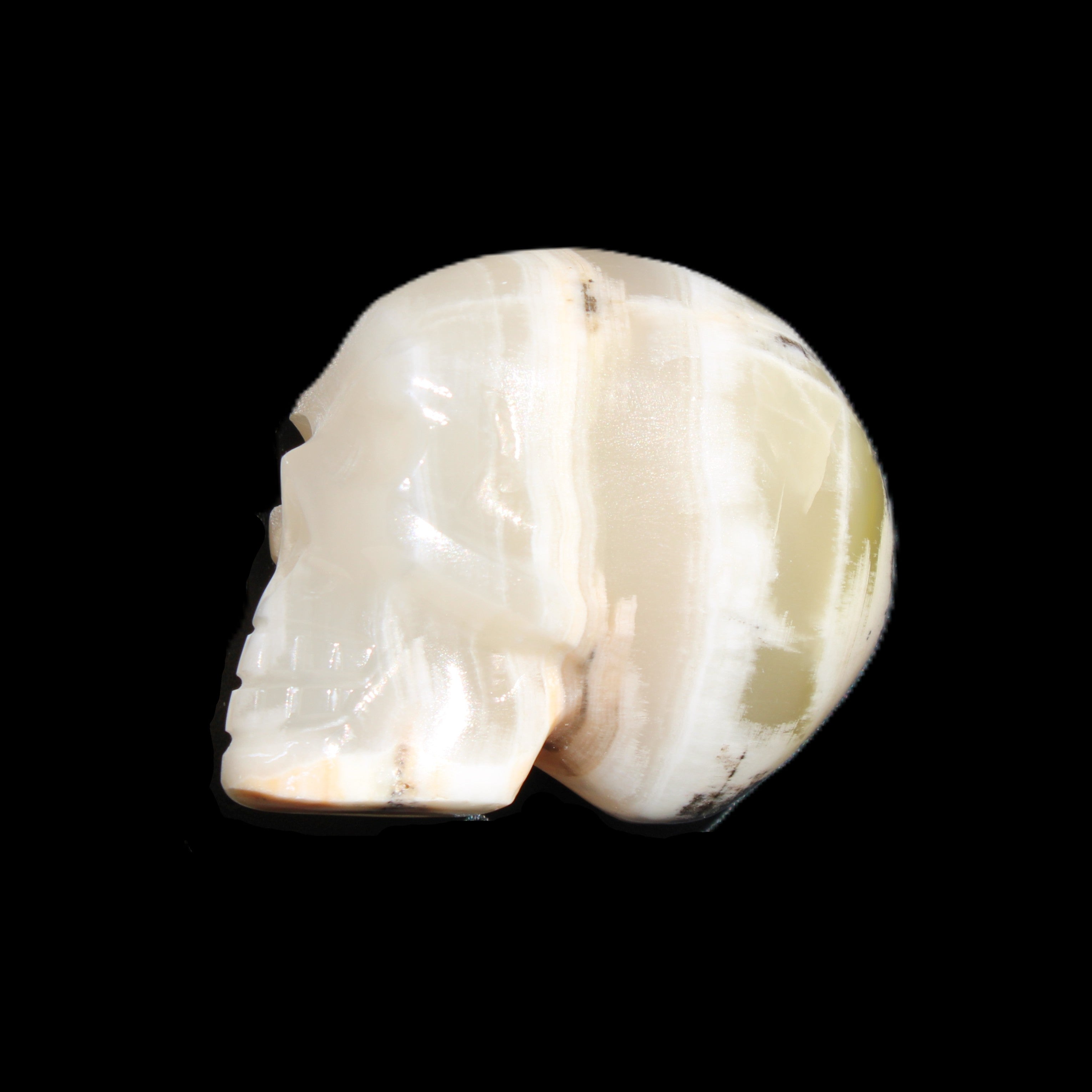 Afghan Jade skull hand-carved 55*48*33mm 168g in sunlight - Rocks and Things Store