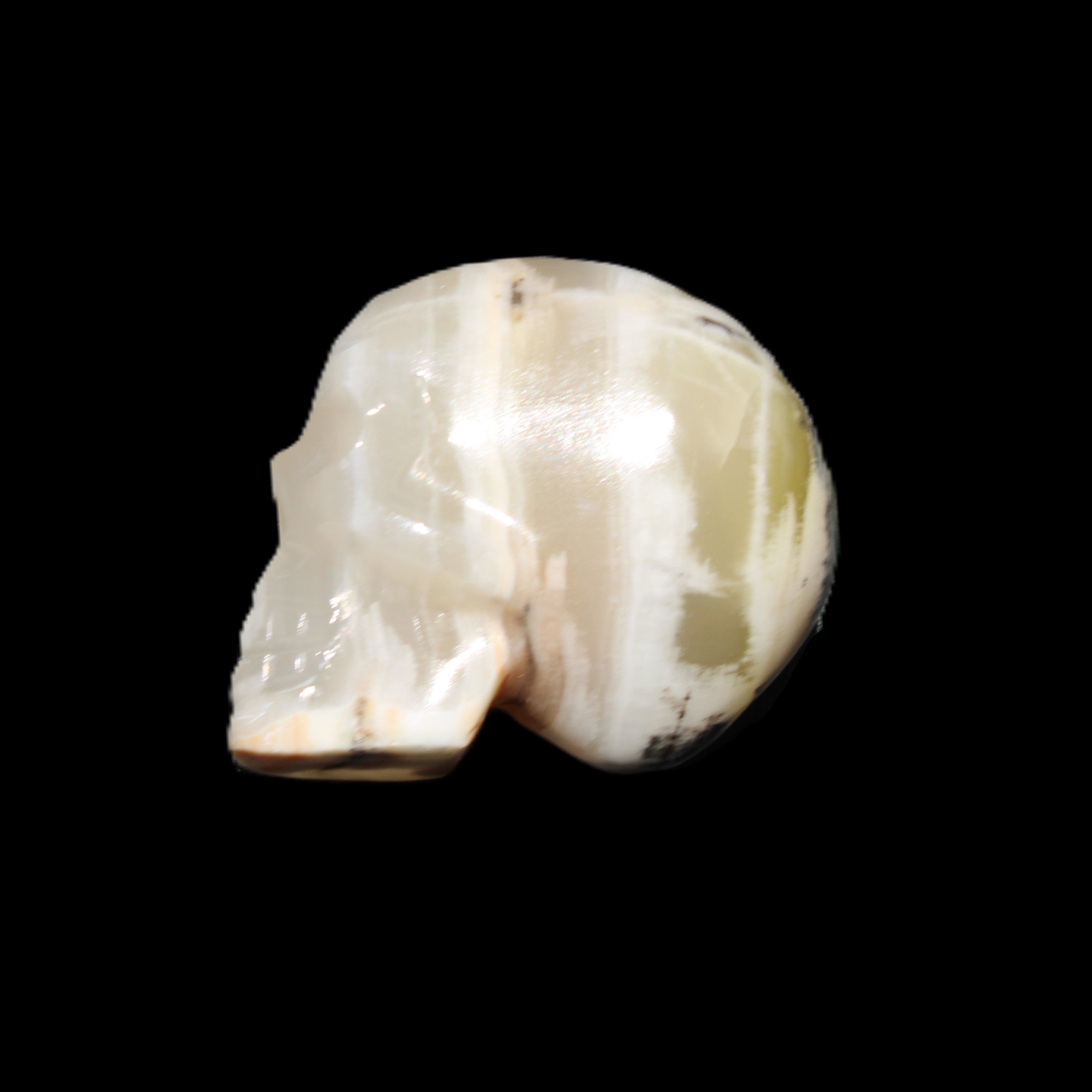 Afghan Jade skull hand-carved 55*48*33mm 168g in sunlight - Rocks and Things Store