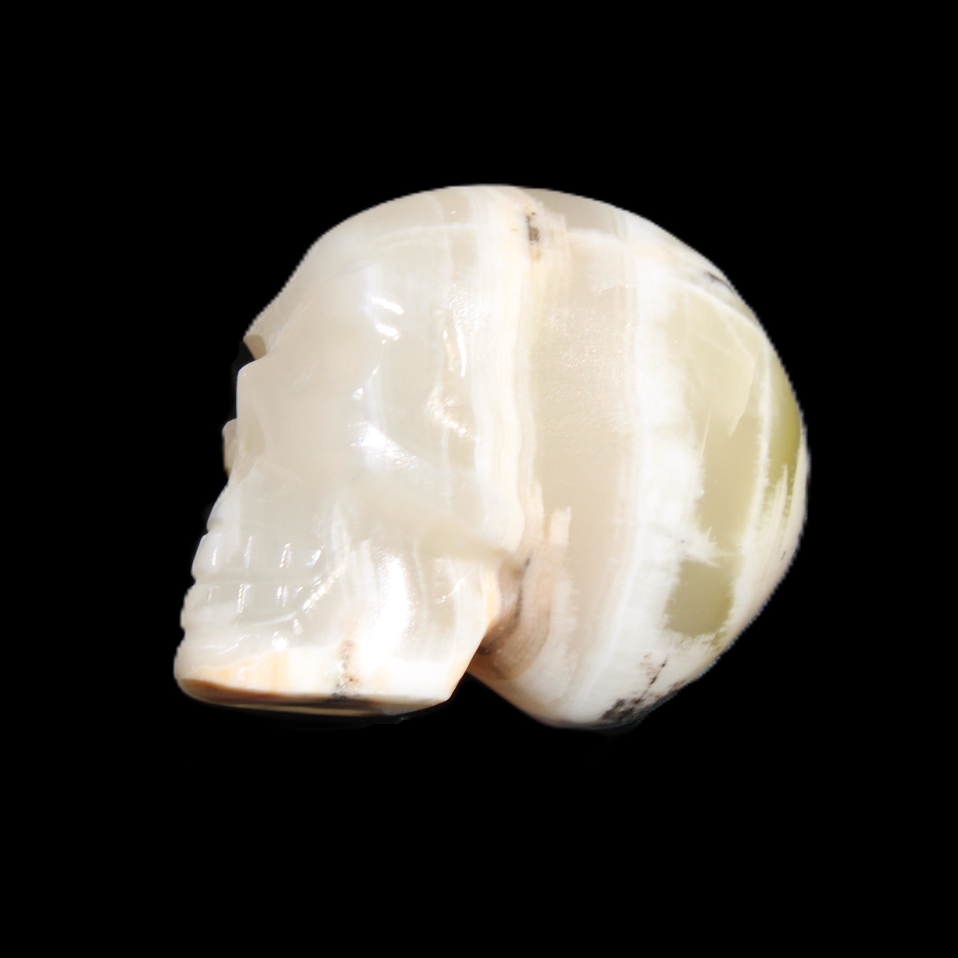 Afghan Jade skull hand-carved 55*48*33mm 168g in sunlight - Rocks and Things Store