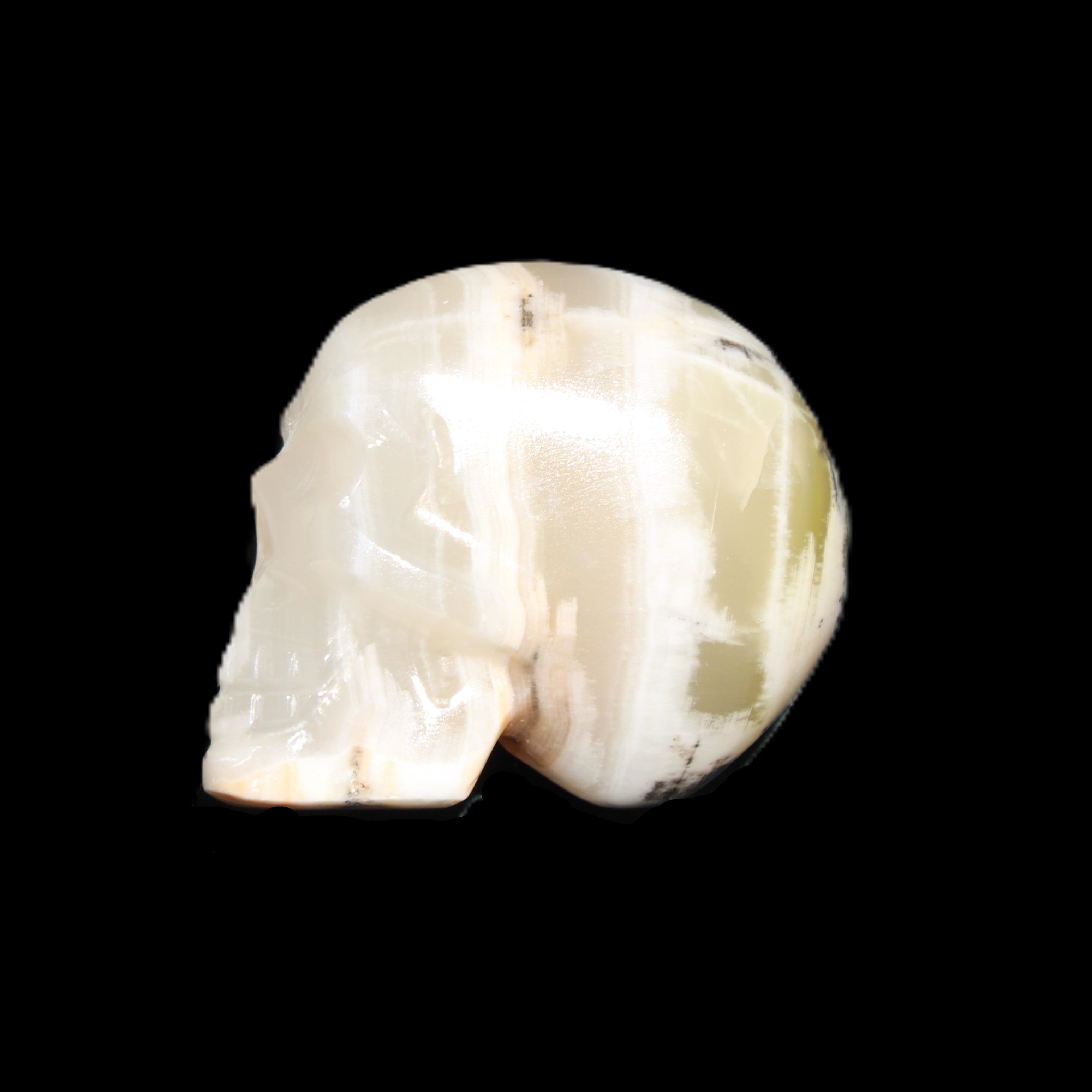 Afghan Jade skull hand-carved 55*48*33mm 168g in sunlight - Rocks and Things Store