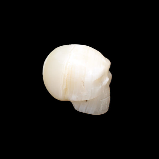 Afghan Jade skull hand-carved 55*48*33mm 172g in sunlight - Rocks and Things Store