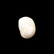 Afghan Jade skull hand-carved 55*48*33mm 172g in sunlight - Rocks and Things Store