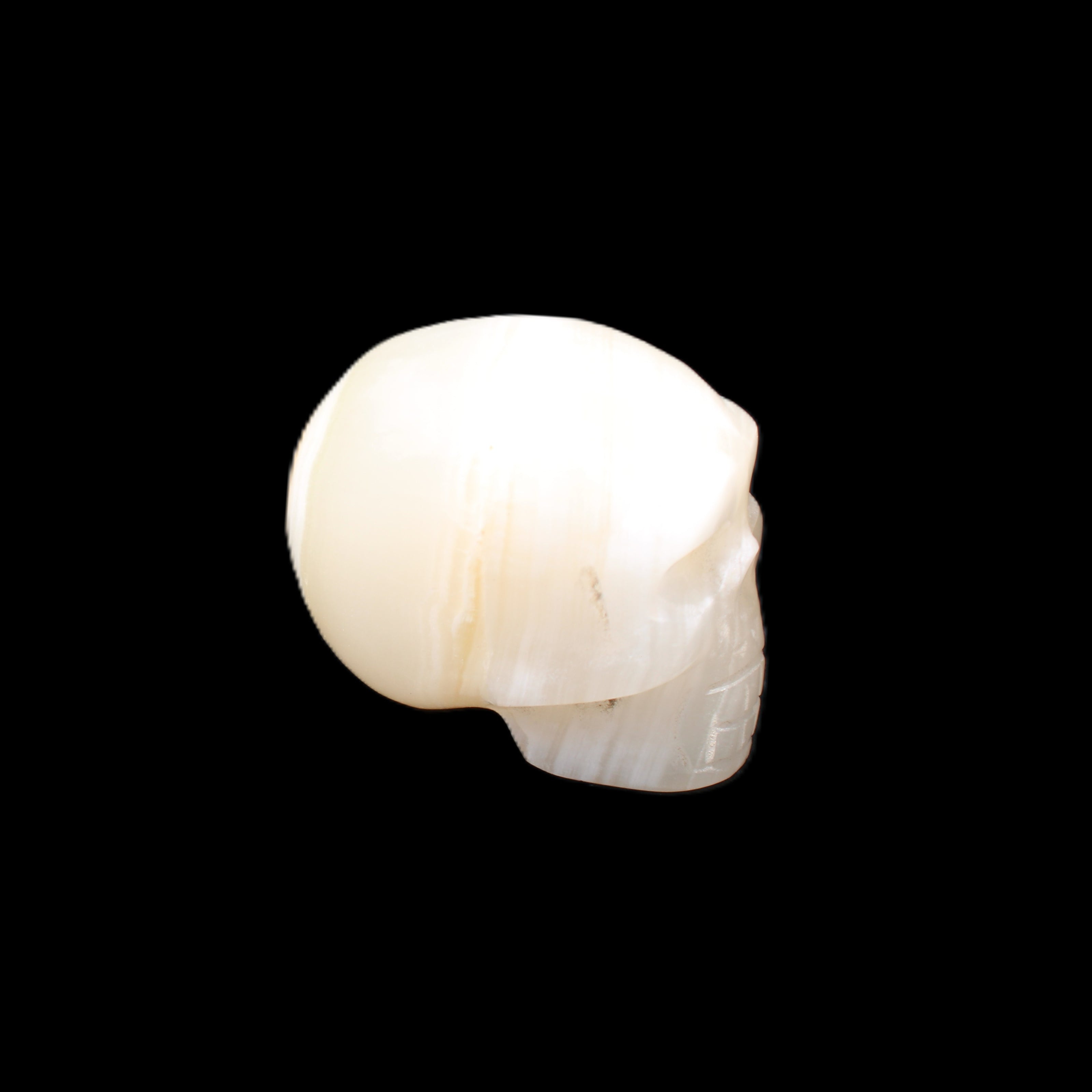 Afghan Jade skull hand-carved 55*48*33mm 172g in sunlight - Rocks and Things Store