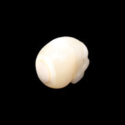 Afghan Jade skull hand-carved 55*48*33mm 172g in sunlight - Rocks and Things Store