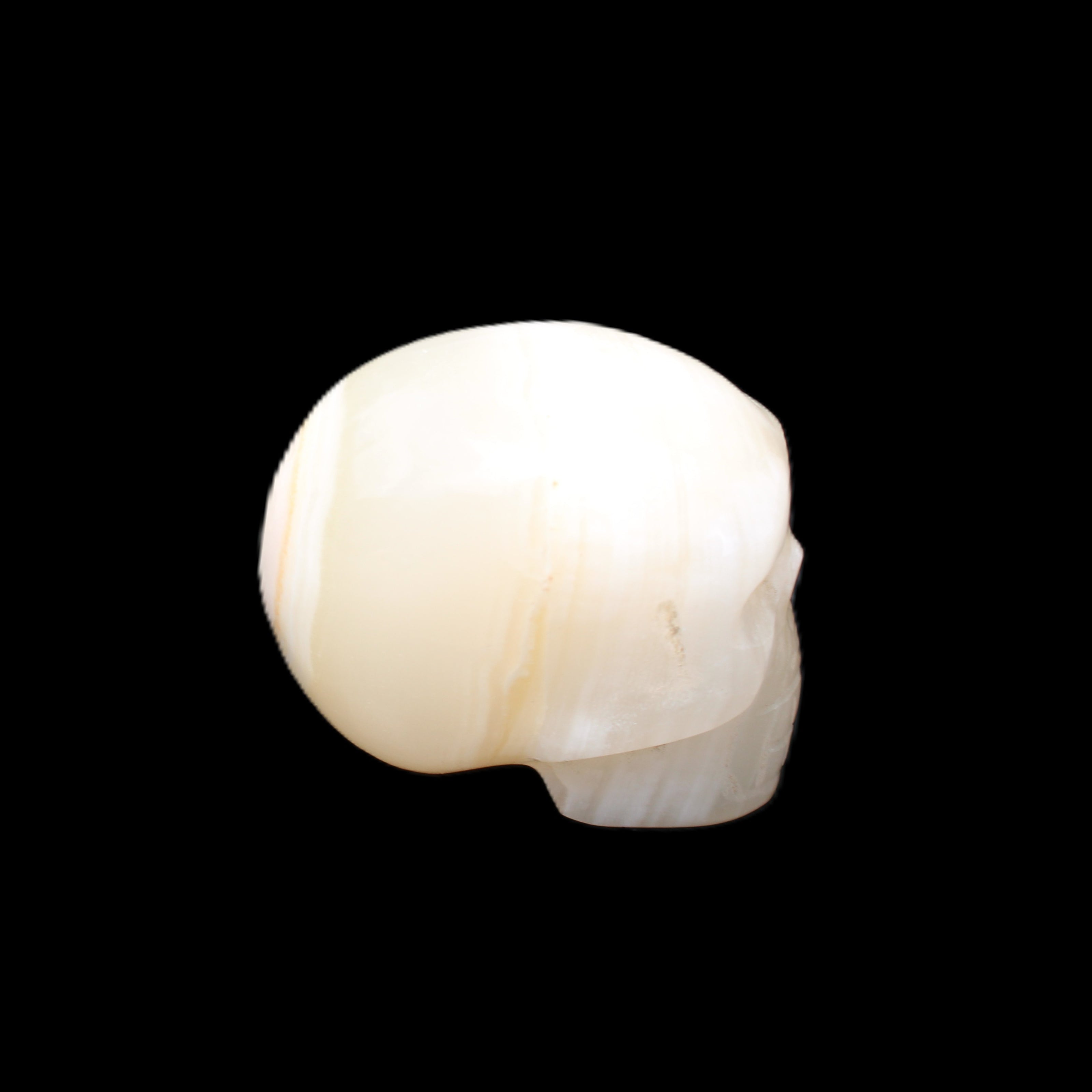 Afghan Jade skull hand-carved 55*48*33mm 172g in sunlight - Rocks and Things Store