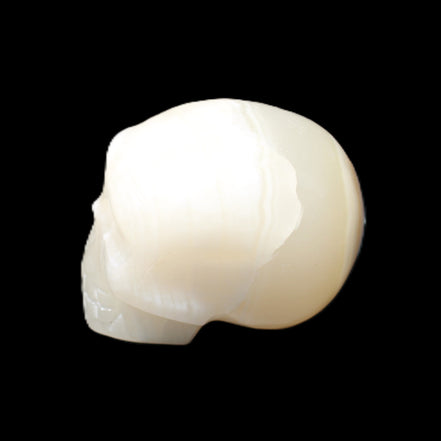 Afghan Jade skull hand-carved 55*48*33mm 172g in sunlight - Rocks and Things Store