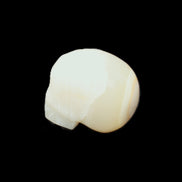 Afghan Jade skull hand-carved 55*48*33mm 172g in sunlight - Rocks and Things Store