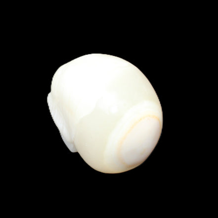 Afghan Jade skull hand-carved 55*48*33mm 172g in sunlight - Rocks and Things Store