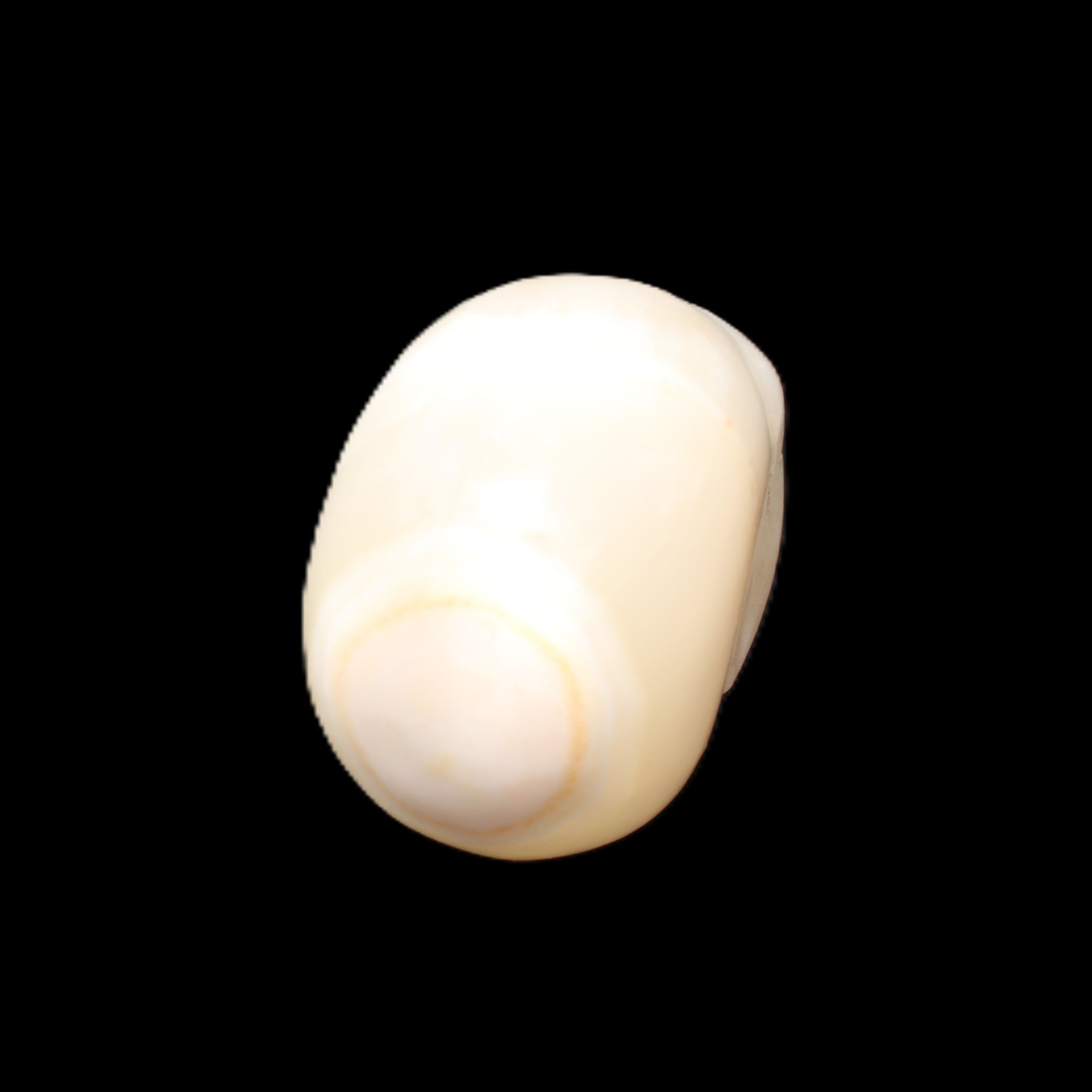 Afghan Jade skull hand-carved 55*48*33mm 172g in sunlight - Rocks and Things Store