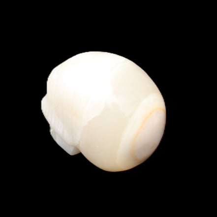 Afghan Jade skull hand-carved 55*48*33mm 172g in sunlight - Rocks and Things Store