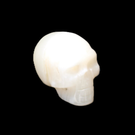 Afghan Jade skull hand-carved 55*48*33mm 172g in sunlight - Rocks and Things Store