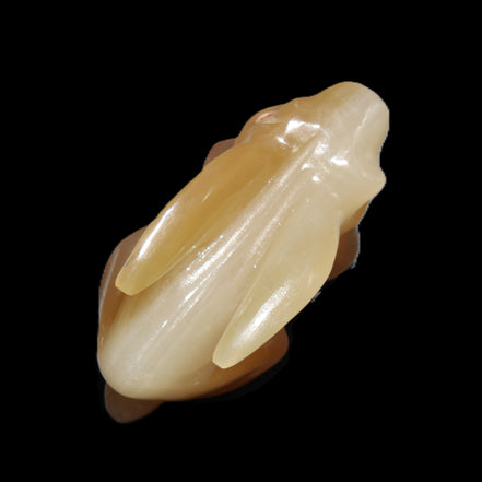 Honey Calcite bunny hand-carved 102*67*52mm 477g in sunlight - Rocks and Things Store