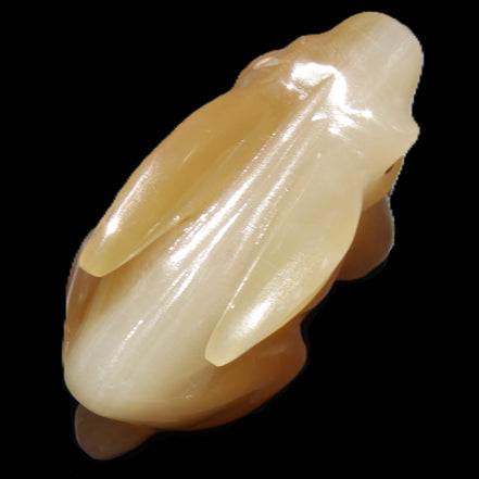 Honey Calcite bunny hand-carved 102*67*52mm 477g in sunlight - Rocks and Things Store