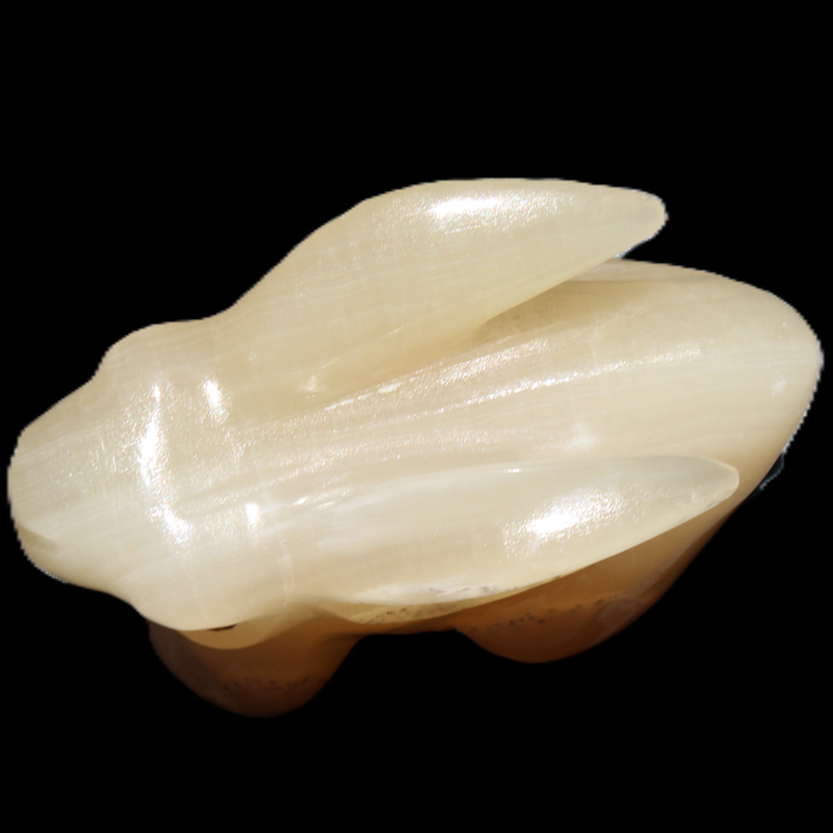 Honey Calcite bunny hand-carved 100*67*52mm 459g in sunlight - Rocks and Things Store