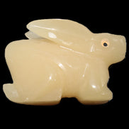 Honey Calcite bunny hand-carved 100*67*52mm 459g in sunlight - Rocks and Things Store