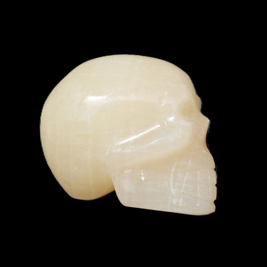 Honey Calcite skull hand-carved 60*50*39mm 192g in sunlight - Rocks and Things Store
