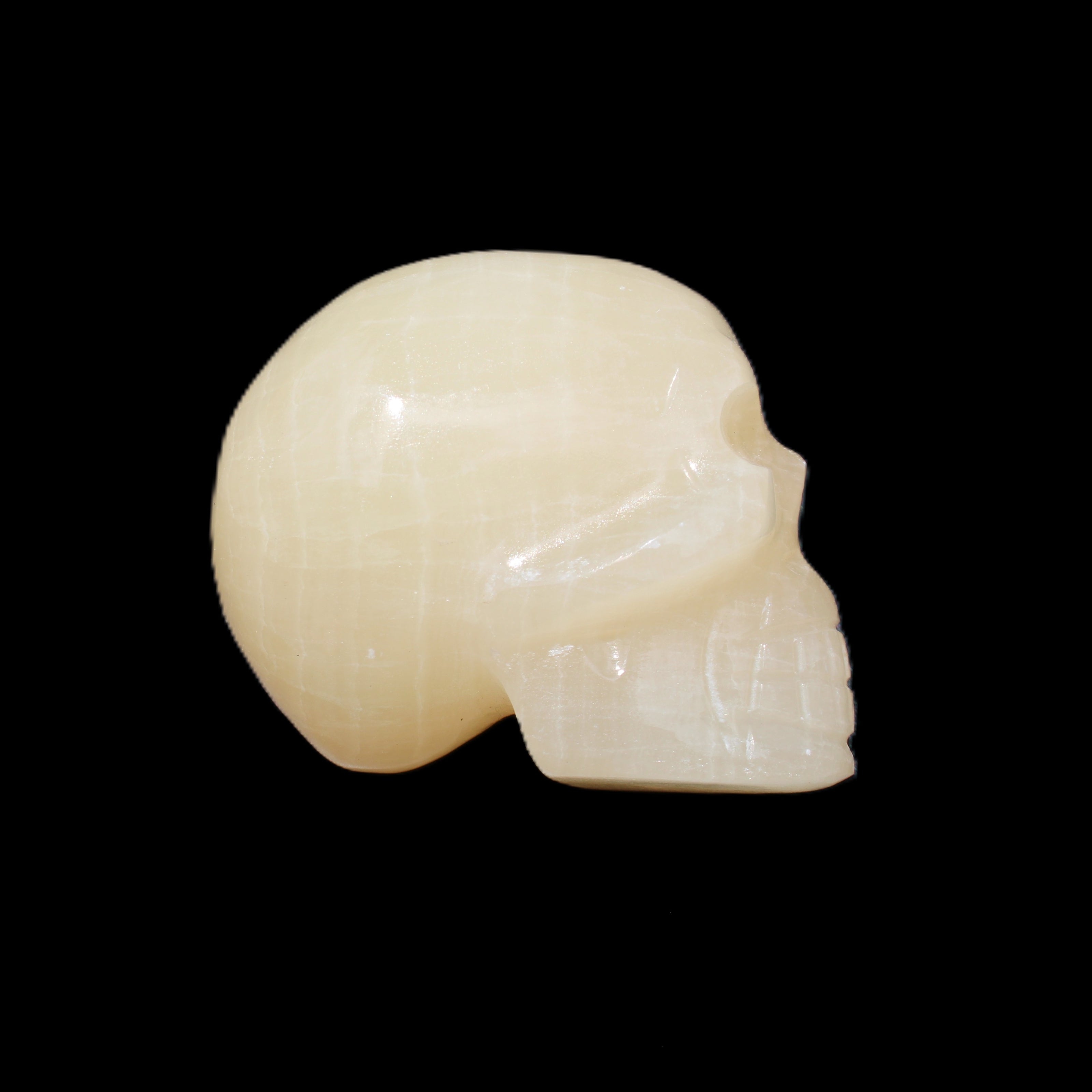 Honey Calcite skull hand-carved 60*50*39mm 192g in sunlight - Rocks and Things Store