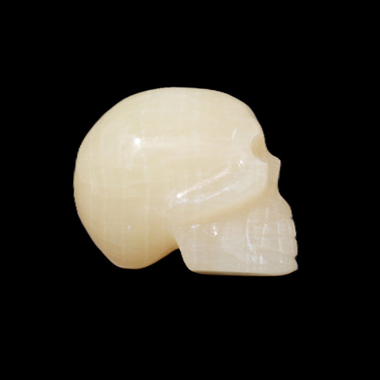 Honey Calcite skull hand-carved 60*50*39mm 192g in sunlight - Rocks and Things Store