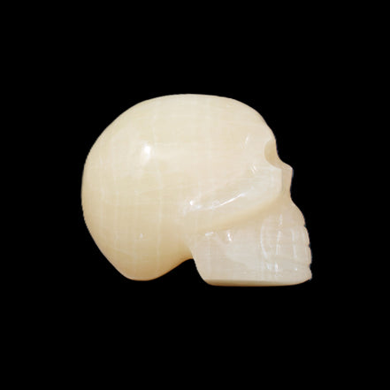 Honey Calcite skull hand-carved 60*50*39mm 192g in sunlight - Rocks and Things Store